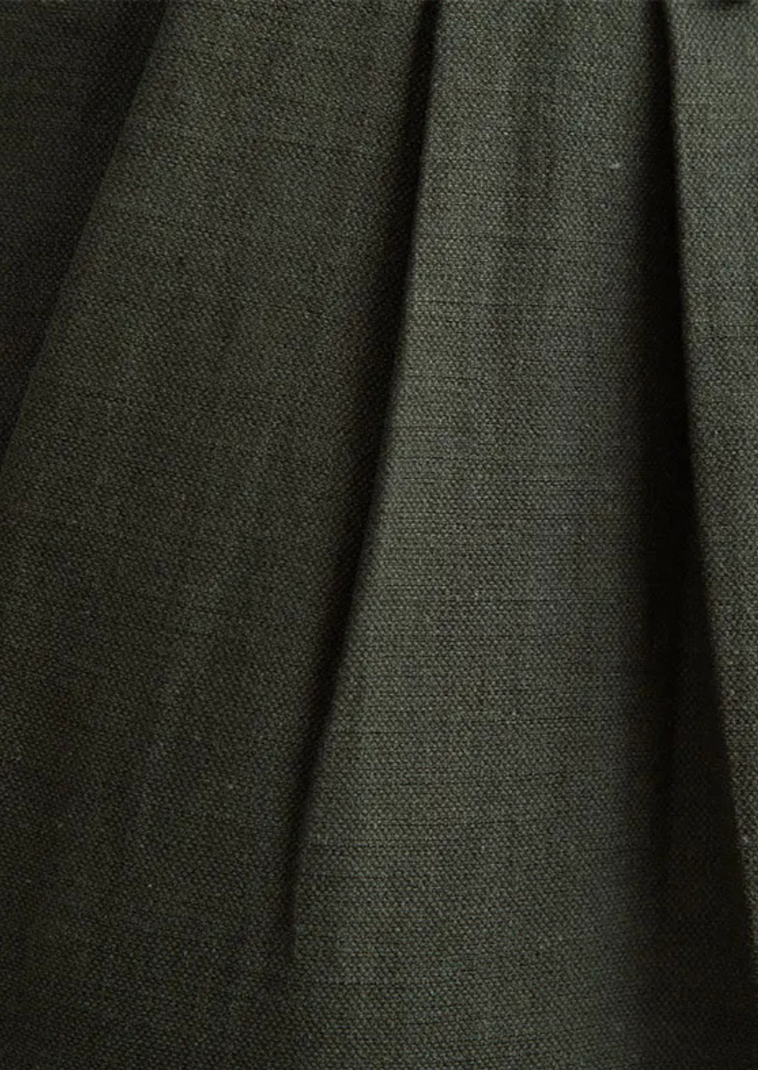 Cagliari Pleated Trousers in Olive