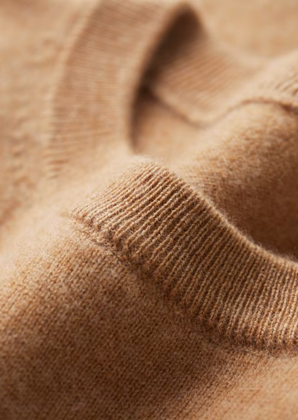 Cashmere Classic Crewneck T-Shirt in Ivory